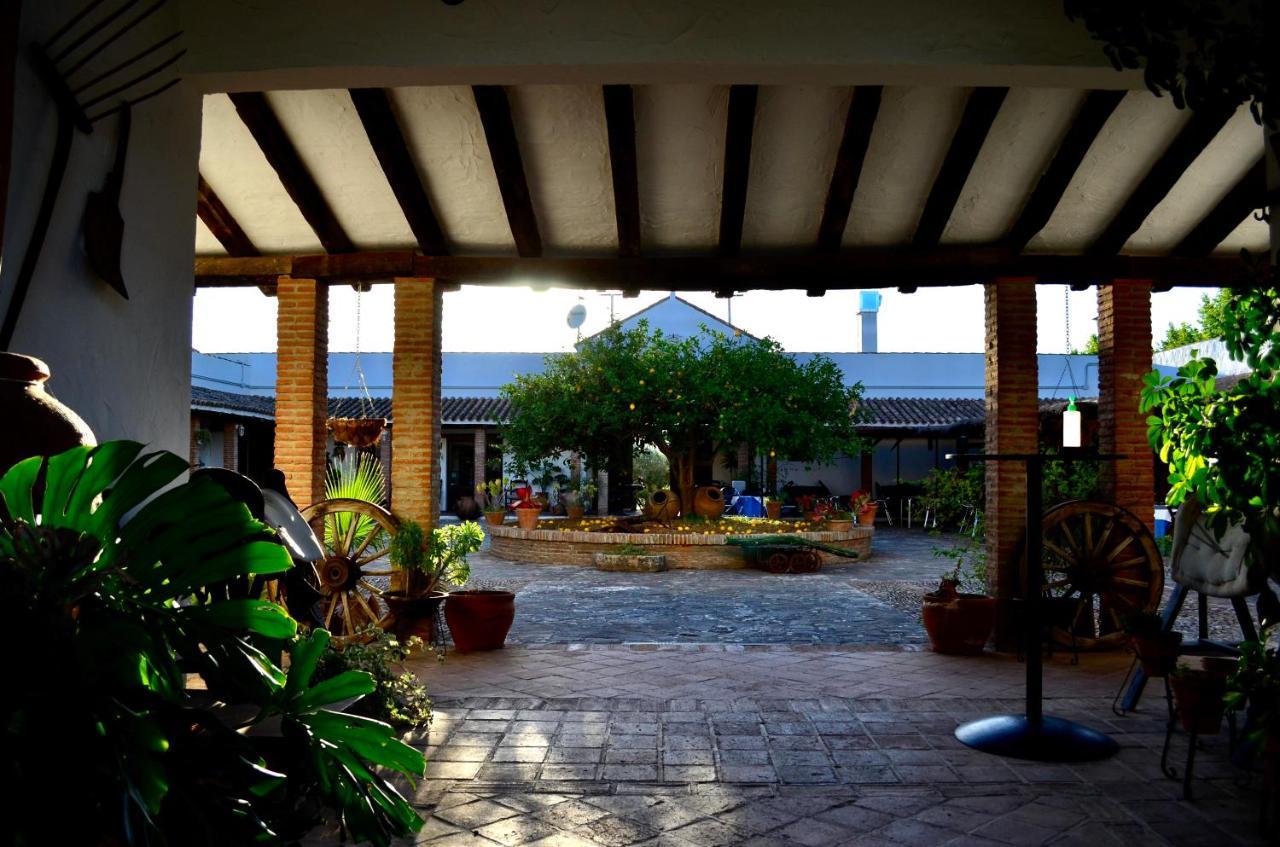 Cortijo Mesa De La Plata Guest House Arcos de la Frontera Exterior photo